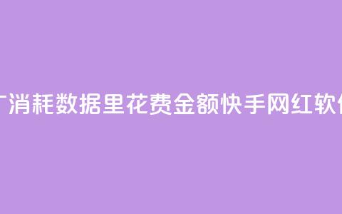 快手推广消耗数据里花费金额 - 快手网红软件  第1张
