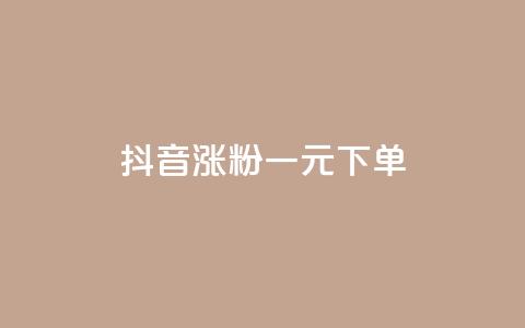 抖音涨粉一元下单 - 低价快手号  第1张