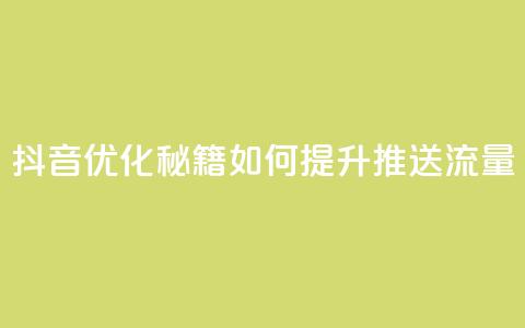 抖音优化秘籍：如何提升推送流量  第1张