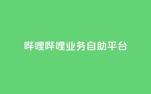 哔哩哔哩业务自助平台 - 哔哩哔哩自助平台：优化您的业务经营!  第1张