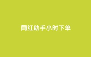 网红助手24小时下单,雷神24小时自动下单平台KS - 24小时秒单官网登录入口 - qq超级会员低价网站