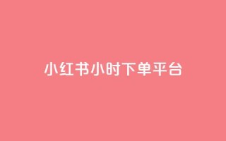 小红书24小时下单平台,qq动态点赞1毛10000赞微信支付 - qq空间说说赞自助下单 - 卡盟业务
