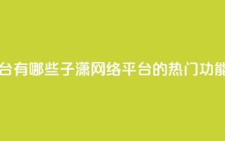 子潇网络平台有哪些 - 子潇网络平台的热门功能介绍~