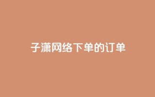 子潇网络下单的订单 - 黑科技引流工具快手