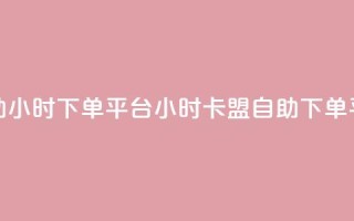 卡盟自助24小时下单平台(24小时卡盟自助下单平台简介)