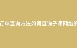 子潇网络下单的订单查询方法 - 如何查询子潇网络的订单信息！