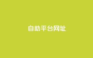 自助平台网址,游戏卡盟24小时自动发卡平台 - QQ人气访客 - qq会员业务网站