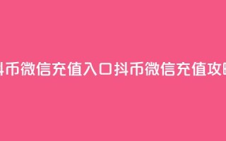 抖币微信充值入口(抖币微信充值攻略)