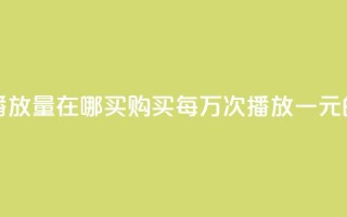 1块钱1w播放量在哪买(购买每万次播放一元的服务)