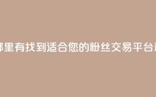 粉丝交易平台哪里有 - 找到适合您的粉丝交易平台：最佳选择~