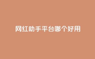 网红助手平台哪个好用,彩虹云自助下单商城 - KS低价真人双击 - 斗鱼主播人气怎么提高