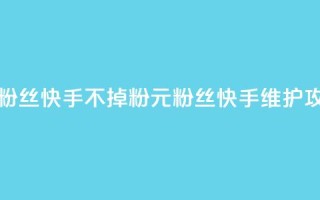 1元3000粉丝快手不掉粉(1元3000粉丝快手维护攻略)