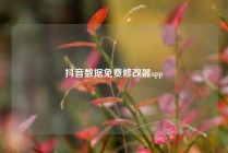 抖音数据免费修改器app