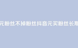 抖音1元3000粉丝不掉粉丝(抖音1元买3000粉丝长期稳定)