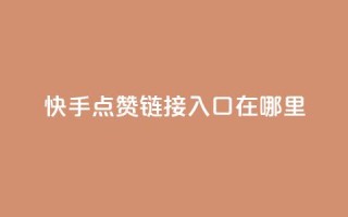快手点赞链接入口在哪里,qq空间说说浏览量网站 - 抖音6元一千粉 - qq空间访客量购买
