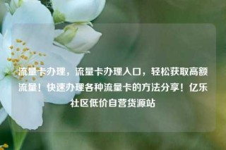 流量卡办理，流量卡办理入口，轻松获取高额流量！快速办理各种流量卡的方法分享！亿乐社区低价自营货源站