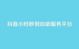 抖音24小时秒到自助服务平台,ks便宜的下单平台 - 抖音评论挣钱是什么套路 - Dy号商购买