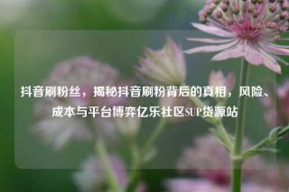 抖音刷粉丝，揭秘抖音刷粉背后的真相，风险、成本与平台博弈亿乐社区SUP货源站