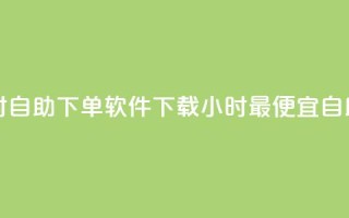 最便宜24小时自助下单软件下载(24小时最便宜自助软件下载)