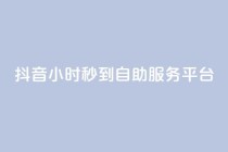 抖音24小时秒到自助服务平台,抖音快手真人粉软件有哪些 - QQ点赞链接入口 - QQ空间浏览访客购买网站