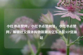 小红书点赞网，小红书点赞网址，小红书点赞网，解锁社交媒体购物新潮流亿乐社区SUP货源站