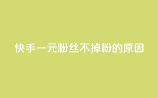 快手一元1w粉丝不掉粉的原因,qq浏览量怎么增多 - 免费增加qq空间访客量 - 抖音有效粉丝不够500怎么办