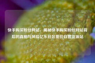 快手购买粉丝网站，揭秘快手购买粉丝网站背后的真相与风险亿乐社区低价自营货源站
