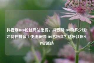 抖音刷1000粉丝网站免费，抖音刷1000粉多少钱?如何在抖音上快速获得1000名粉丝？亿乐社区SUP货源站