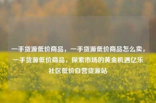 一手货源低价商品，一手货源低价商品怎么卖，一手货源低价商品，探索市场的黄金机遇亿乐社区低价自营货源站