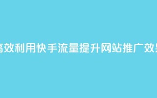 高效利用快手流量，提升网站推广效果