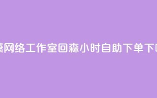 子潇网络工作室 - 回森24小时自助下单