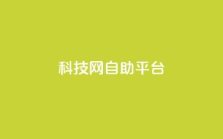 nap6科技网自助平台,抖音业务秒点赞 - qq空间刷转发说说 - 卡盟抖音业务