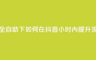 抖音24小时全自助下 - 如何在抖音24小时内提升流量？！