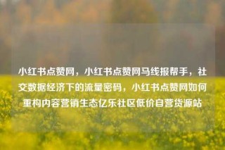 小红书点赞网，小红书点赞网马线报帮手，社交数据经济下的流量密码，小红书点赞网如何重构内容营销生态亿乐社区低价自营货源站