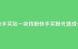 快手买站一块钱1000粉(快手买粉光速成长)