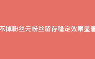 1元3000粉丝不掉粉丝 - 1元3000粉丝留存稳定，效果显著!