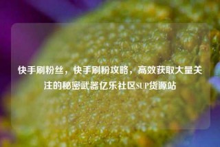 快手刷粉丝，快手刷粉攻略，高效获取大量关注的秘密武器亿乐社区SUP货源站