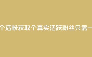 粉丝一元1000个活粉 - 获取1000个真实活跃粉丝只需一元！