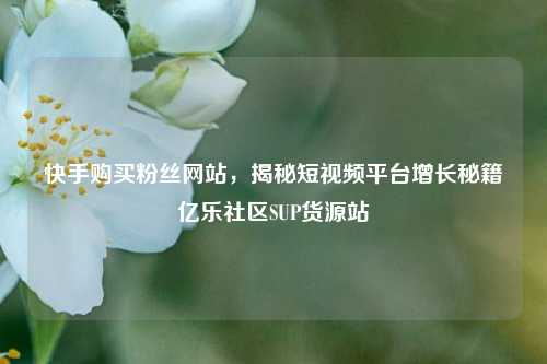 快手购买粉丝网站，揭秘短视频平台增长秘籍亿乐社区SUP货源站  第1张