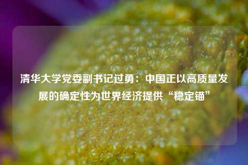 清华大学党委副书记过勇：中国正以高质量发展的确定性为世界经济提供“稳定锚”  第1张