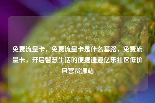 免费流量卡，免费流量卡是什么套路，免费流量卡	，开启智慧生活的便捷通道亿乐社区低价自营货源站  第1张