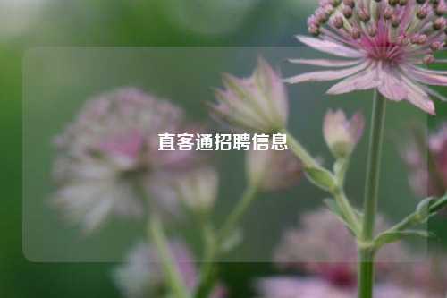 直客通招聘信息  第1张