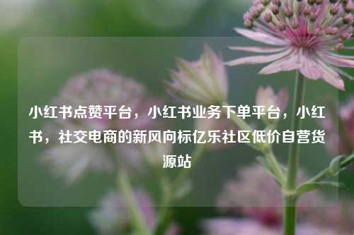 小红书点赞平台，小红书业务下单平台	，小红书，社交电商的新风向标亿乐社区低价自营货源站  第1张