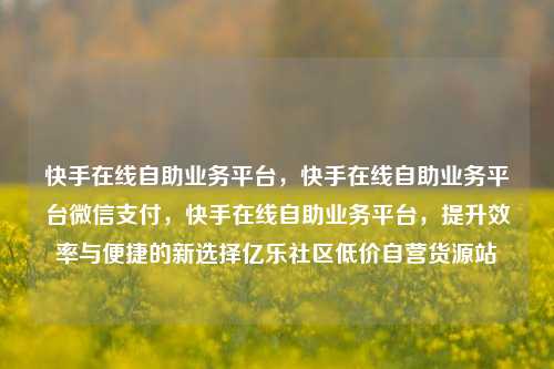 快手在线自助业务平台，快手在线自助业务平台微信支付	，快手在线自助业务平台，提升效率与便捷的新选择亿乐社区低价自营货源站  第1张