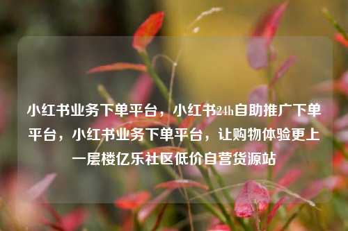 小红书业务下单平台	，小红书24h自助推广下单平台，小红书业务下单平台，让购物体验更上一层楼亿乐社区低价自营货源站  第1张