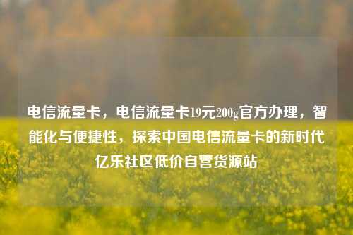 电信流量卡，电信流量卡19元200g官方办理	，智能化与便捷性，探索中国电信流量卡的新时代亿乐社区低价自营货源站  第1张