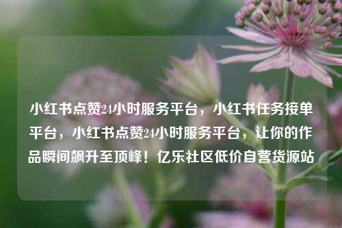 小红书点赞24小时服务平台，小红书任务接单平台，小红书点赞24小时服务平台	，让你的作品瞬间飙升至顶峰！亿乐社区低价自营货源站  第1张