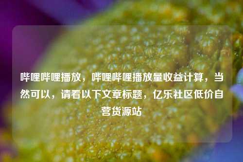 哔哩哔哩播放	，哔哩哔哩播放量收益计算，当然可以，请看以下文章标题	，亿乐社区低价自营货源站  第1张